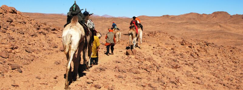 ...und die Karawane läuft